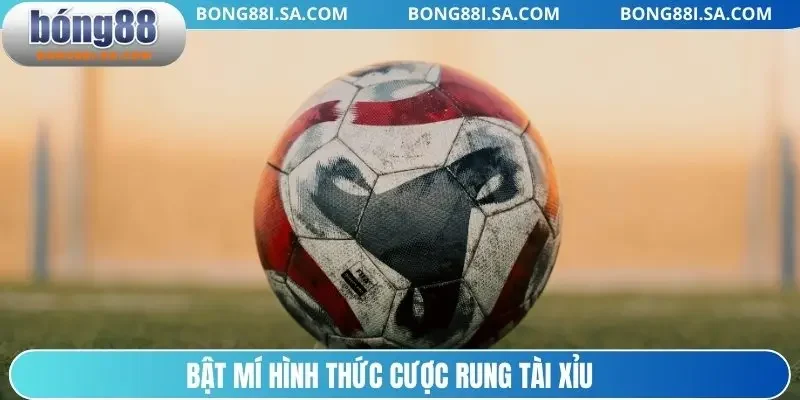 Bật mí hình thức cược rung tài xỉu